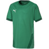 Puma T-särk lastele Teamgoal 23 Jersey roheline 704160 05 suurus 140cm