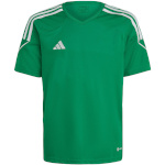 Adidas Teamwear T-särk lastele Tiro 23 League Jersey roheline IC7483 suurus 116cm