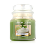 17158 lõhnaküünal Yankee Candle Lima Vanilje (411 g)