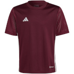 Adidas Teamwear T-särk lastele Tabela 23 Jersey bordoopunane IB4933 suurus 164cm