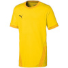 Puma T-särk lastele Teamgoal 23 Jersey kollane 704160 07 suurus 152cm