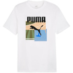 Puma T-särk meestele Graphics Summer Sports Tee II valge 627909 02 suurus S