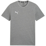 Puma T-särk meestele Team Goal Casuals Tee hall 658615 33 suurus M