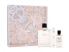 Hermes komplekt Terre d´ EDT 100ml + EDT 15ml + Shower Gel 40ml, meestele