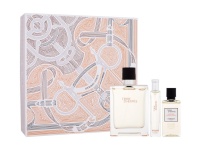 Hermes komplekt Terre d´ EDT 100ml + EDT 15ml + Shower Gel 40ml, meestele