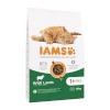 Iams kuivtoit kassile Advanced Nutrition Cat Adult Lamb, 10kg