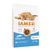 Iams kuivtoit kassile Advanced Nutrition Cat Adult Ocean Fish, 10kg