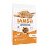 Iams kuivtoit kassile Advanced Nutrition Light/Sterilised, 10kg