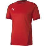 Puma T-särk meestele Teamgoal 23 Jersey punane 704171 01 suurus L