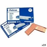 Petrus klambrid 22/6 6 mm 25tk