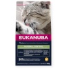 Eukanuba kuivtoit kassile Hairball Control Chicken, 2kg