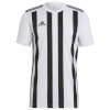 Adidas Teamwear T-särk meestele Striped 21 Jersey valge-must GV1377 suurus S