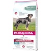 Eukanuba kuivtoit koerale Daily Care Adult Mono Protein Salmon, 12kg