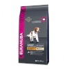 Eukanuba kuivtoit koerale Small & Medium Lamb and Rice, 12kg