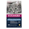 Eukanuba kuivtoit kassile Sterilised/Weight Control Chicken, 2kg