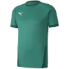 Puma T-särk meestele Teamgoal 23 Jersey roheline 704171 05 suurus XL