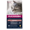 Eukanuba kuivtoit kassile Kitten Chicken, 10kg