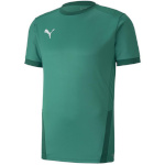 Puma T-särk meestele Teamgoal 23 Jersey roheline 704171 05 suurus S