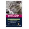 Eukanuba kuivtoit kassile Hairball Control Chicken, 10kg