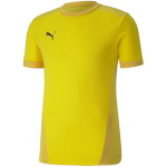 Puma T-särk meestele Teamgoal 23 Jersey kollane 704171 07 suurus XXL