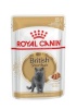 Royal Canin kassitoit British Shorthair Packet, 12x 85g