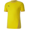 Puma T-särk meestele Teamgoal 23 Jersey kollane 704171 07 suurus M