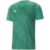 Puma T-särk meestele Teamultimate roheline 705371 05 suurus S