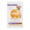 Iams kuivtoit koerale for Vitality Puppy Large Breed, 12kg