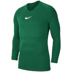 Nike Team T-särk lastele Dry Park First Layer Jersey LS roheline AV2611 302 suurus L