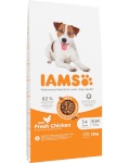 Iams kuivtoit koerale for Vitality Adult Small & Medium, 12kg