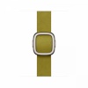 Apple kellarihm Watch 42mm Chartreuse Modern Buckle - S