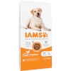 Iams kuivtoit koerale for Vitality Adult Large Breed, 12kg