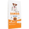 Iams kuivtoit koerale Vitality Adult Light in Fat, 12kg