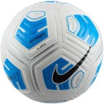 Nike jalgpall Strike Team FZ7558 100 5