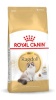 Royal Canin kuivtoit kassile FBN Ragdoll Adult, 2kg