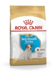 Royal Canin kuivtoit koerale SHN Breed Jack Russell Junior, 3kg