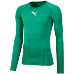 Puma T-särk meestele Liga Baselayer Tee LS roheline 655920 05 suurus M