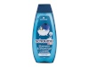 Schwarzkopf šampoon Schauma Kids Blueberry Shampoo & Shower Gel 400ml