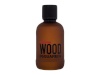 Dsquared2 parfüüm Wood Original 100ml, meestele