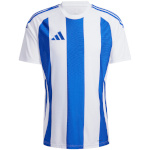 Adidas Teamwear T-särk meestele Striped 24 Jersey valge-sinine IW2144 suurus S