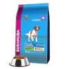 Eukanuba kuivtoit koerale MATURE & SENIOR 2,5kg Adult Lamb, Rice