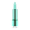 Catrice huulepalsam Hemp & Mint 010-high on life Läige (4,2g)