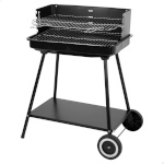 Aktive Kaasaskantav Barbeque-grill Roostevaba teras teras 55x82x43cm