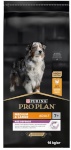 Purina Nestle kuivtoit koerale Pro Plan Medium & Large Chicken Adult 7+, 14kg 