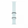 Apple kellarihm Watch Ice Blue Ocean Band 49 mm - Black Titanium Finish