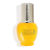 L'Occitane silma-ja huulepalsam Immortelle Divine Eye & Lip Contour 15ml, naistele