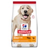 Hill's kuivtoit koerale Hills 604372 Dogs Dry Food 14kg Chicken, Beef, Pork