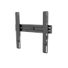 NewStar seinakinnitus Flat Screen Wall Mount Fixed, 37-75” LED-W600BLACK, must