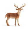 Schleich mängufiguur Wild Life White-Tailed Buck 14818