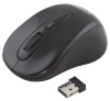 Esperanza hiir Wireless Optical Mouse XM104K, 1200 DPI, 2,4GH